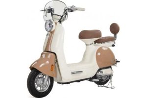 Xe Đạp Điện Tailg Princess JS50 (Xe Đầy Đủ Giấy Tờ )