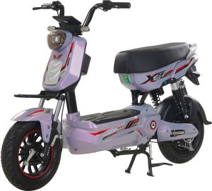 Xe Đạp Điện Ally X9 Dùng 4 Bình Ắc Quy 20A (Đầy Đủ Giấy Tờ)