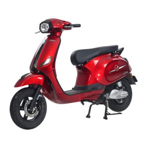 Xe Máy Điện Victoria Viral Việt Nhật Thế Hệ Mới