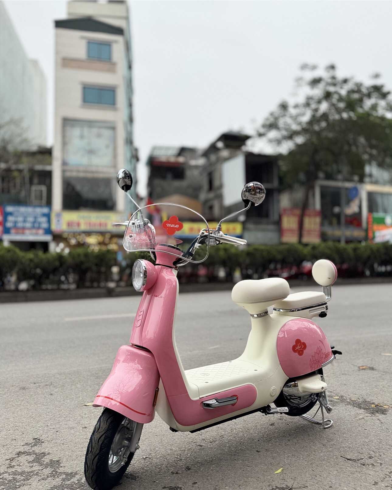 Xe Đạp Điện Tailg Princess JS50